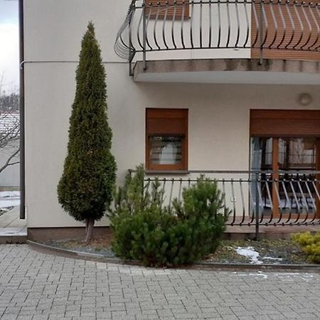 Apartments With A Parking Space Fuzine, Gorski Kotar - 19537 Exterior foto